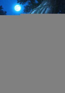 Доктор Стоун 2019 Аниме сериал